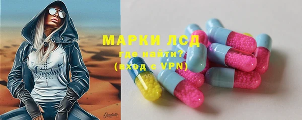 прущие грибы Апатиты