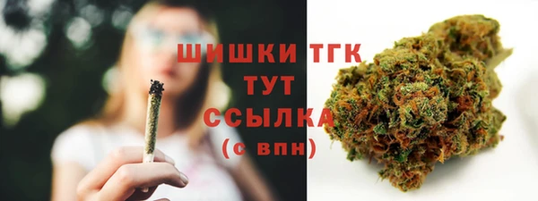 стаф Усинск