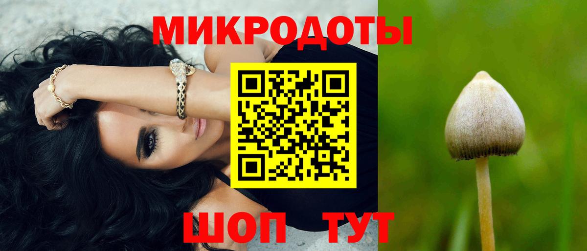 Галлюциногенные грибы GOLDEN TEACHER  Вход с VPN  Галлюциногенные грибы MAGIC MUSHROOMS  Грозный 