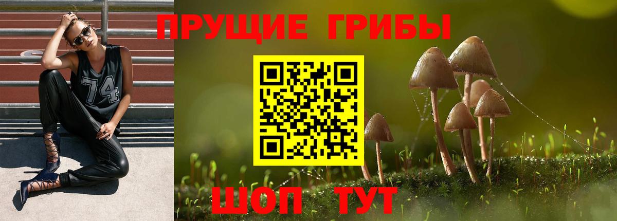 Псилоцибиновые грибы MAGIC MUSHROOMS Грозный